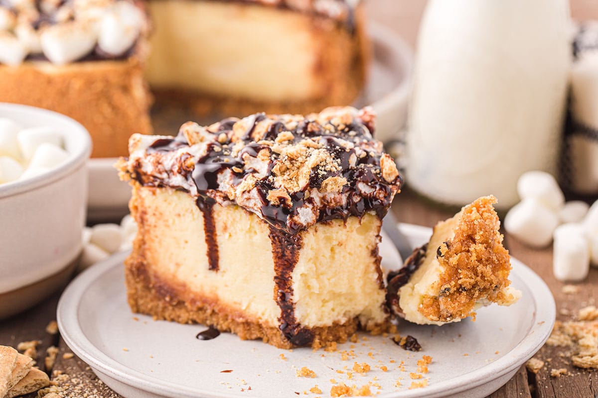 S'mores Cheesecake on a plate