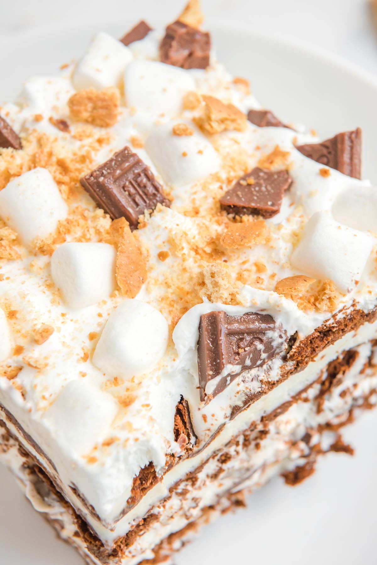 S'mores Ice Cream Sandwich Cake on a plate