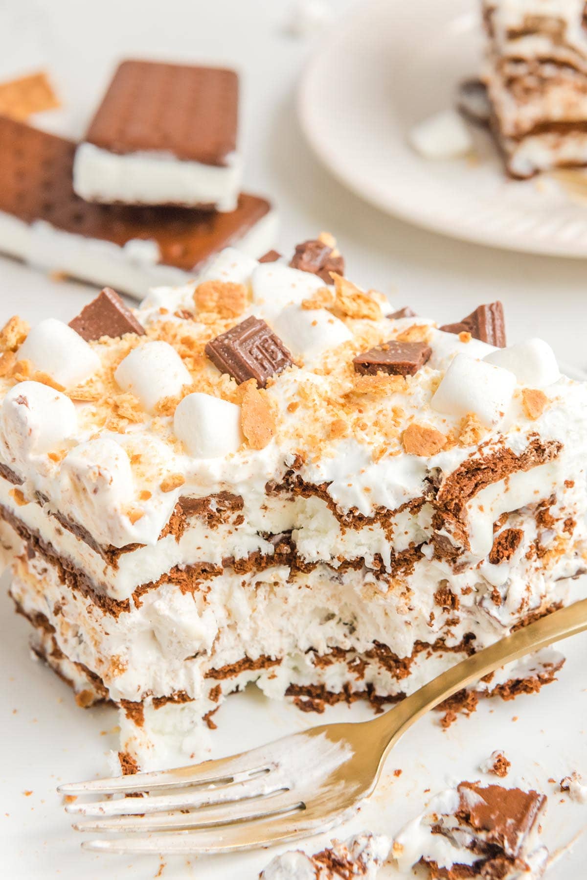 S'mores Ice Cream Sandwich Cake on a white table