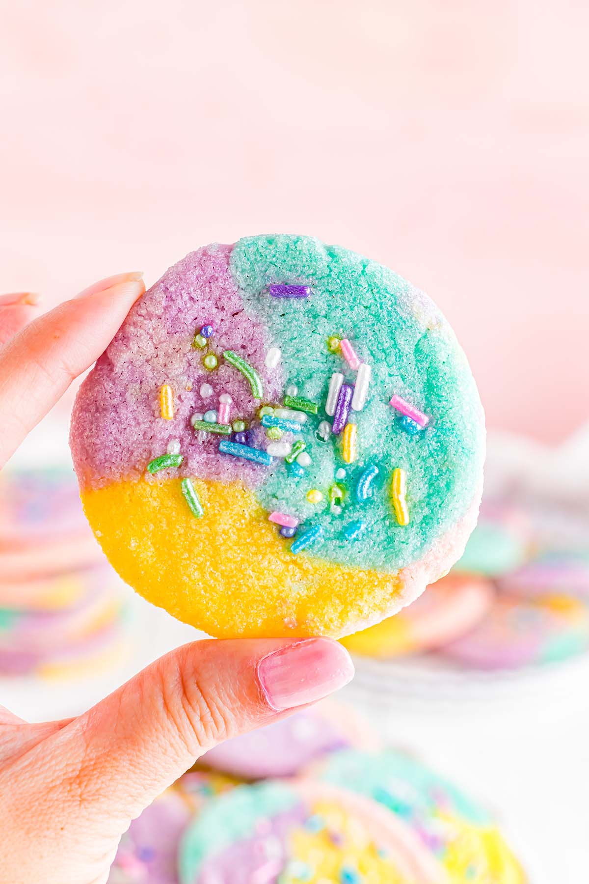 hand holding a Unicorn Sugar Cookies