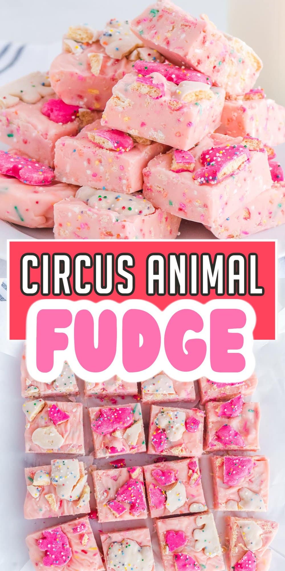 Circus Animal Fudge pinterest