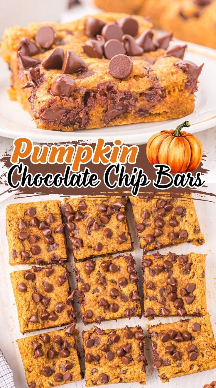 Close up of square sliced Pumpkin Chocolate Chip Bars served on a plate