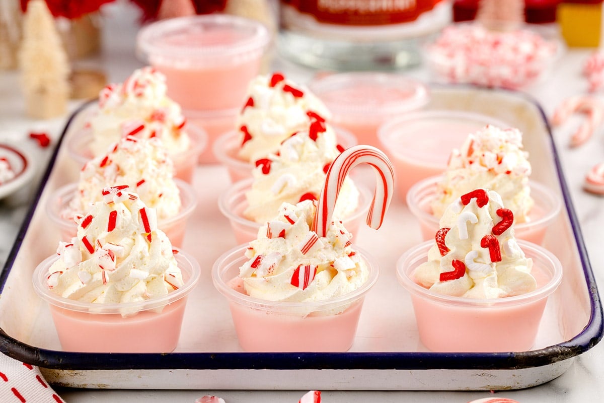 a couple of Candy Cane Jello Shots with whipped cream and peppermint candy on top, placed in a serving tray. 