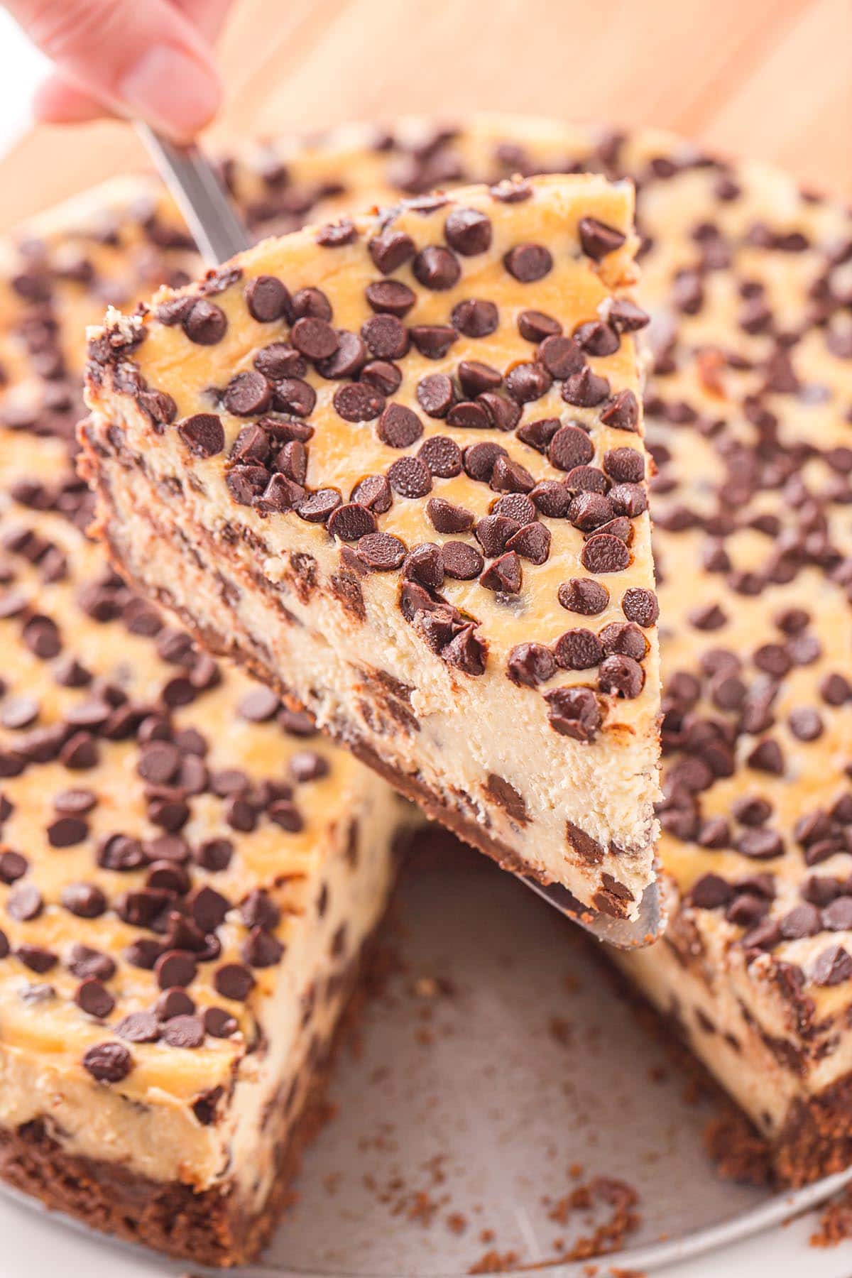 serving a slice of Chocolate Chip Cheesecake.