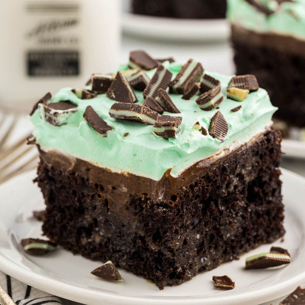 Mint Chocolate Ice Cream Roll Cake • Pint Sized Baker