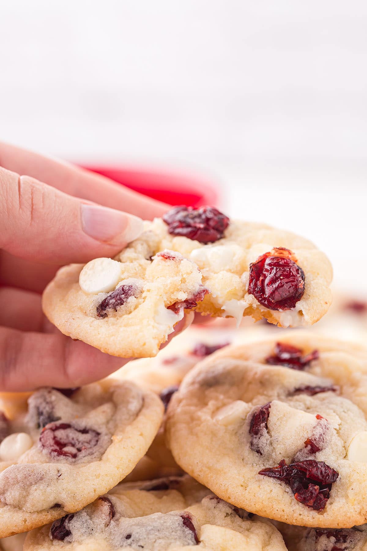 handholding a White Chocolate Cranberry Cookies.