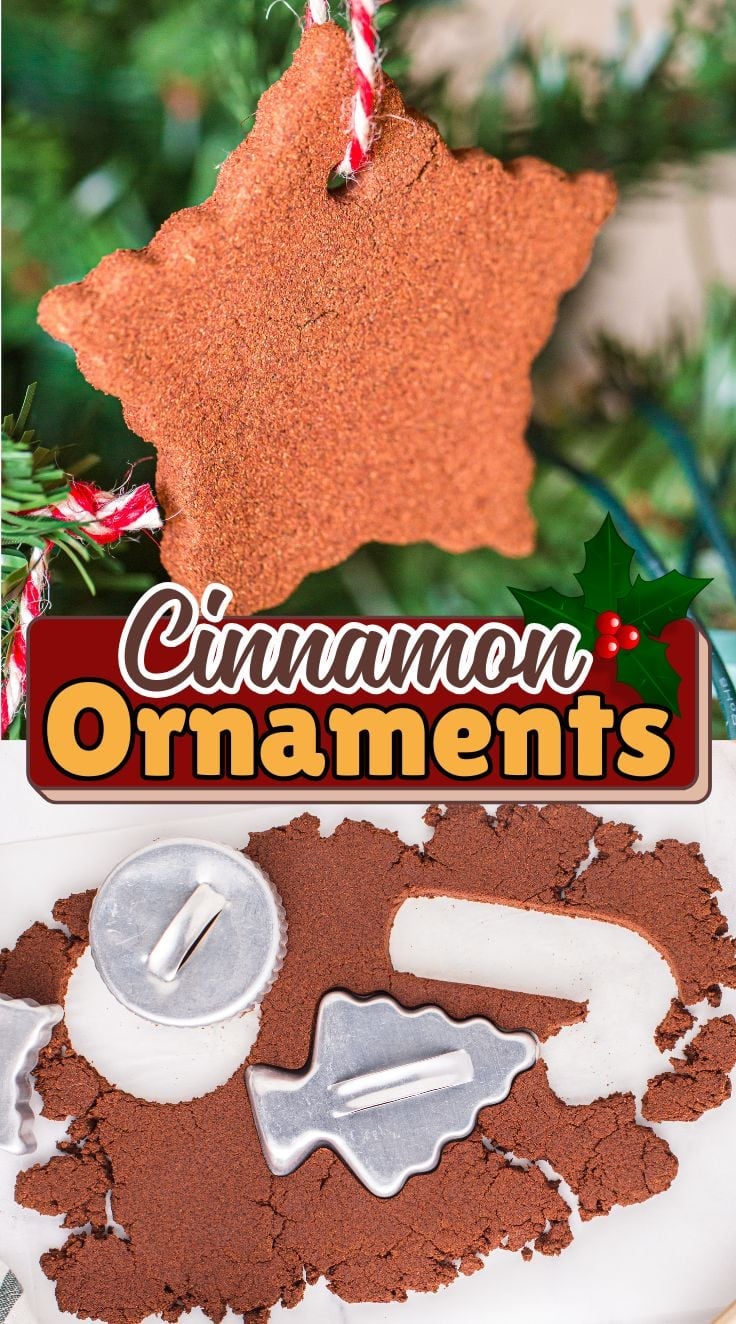 Star shaped Cinnamon Ornaments hanged on a Christmas tree