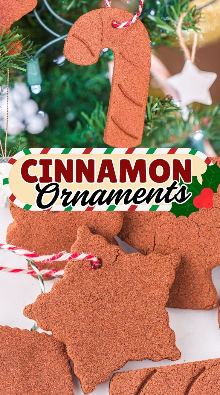 Candy cane shaped Cinnamon Ornaments hanged on a Christmas tree