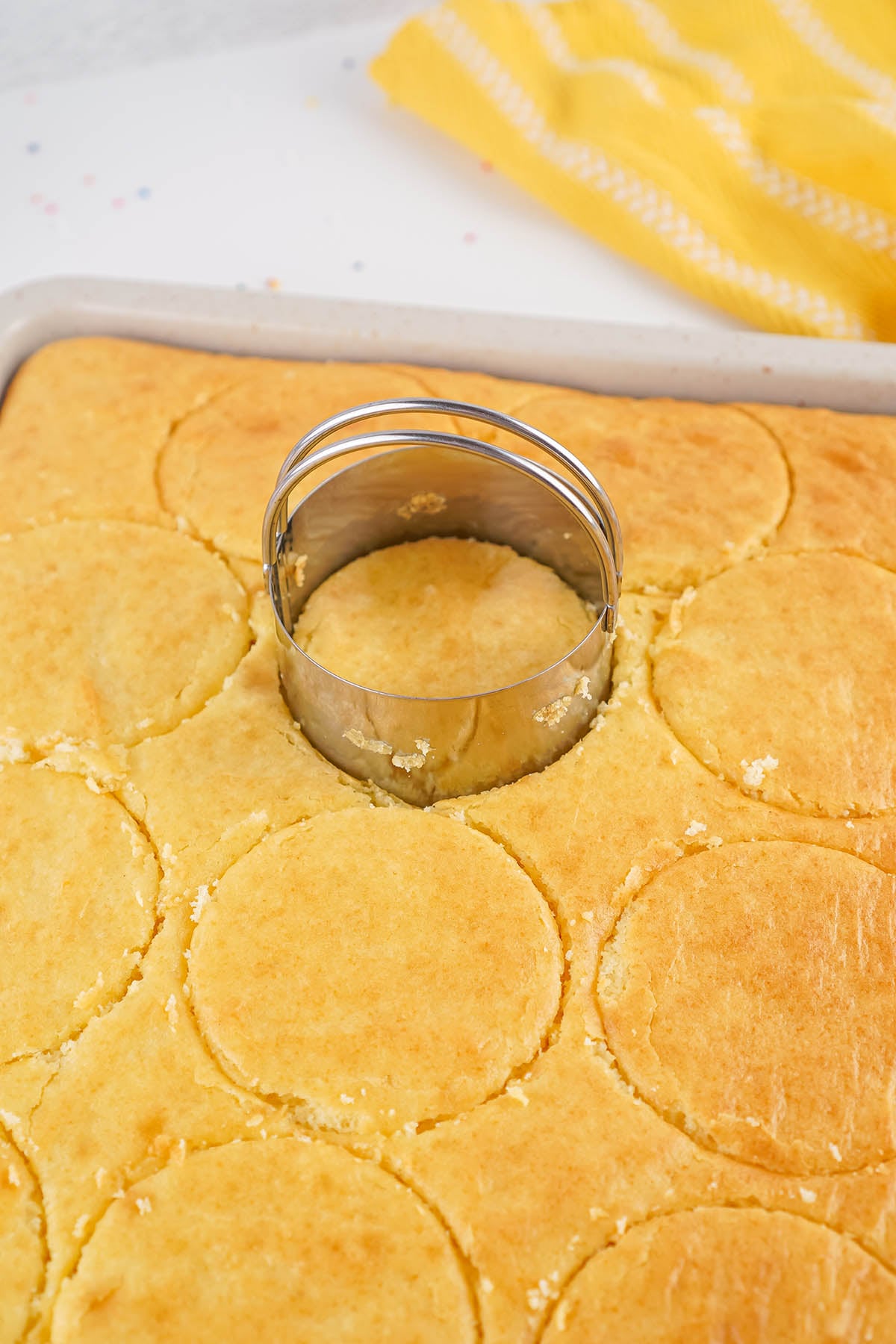 Round cake circles cut from a baked sheet cake using a cookie cutter.