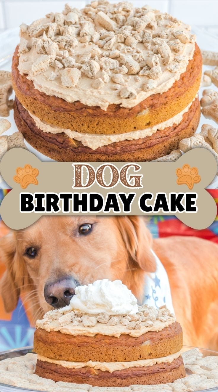 A dog sniffing homemade dog birthday cake with dog-safe ingredients, easy puppy cake for a dog birthday celebration.