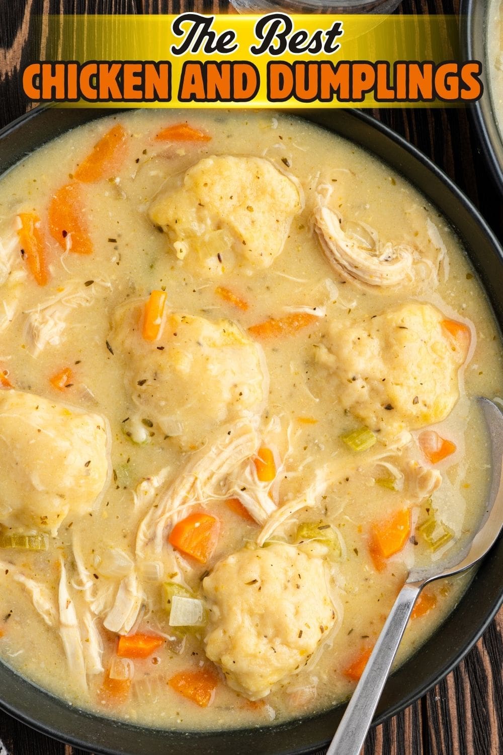 the best chicken and dumplings in a bowl.