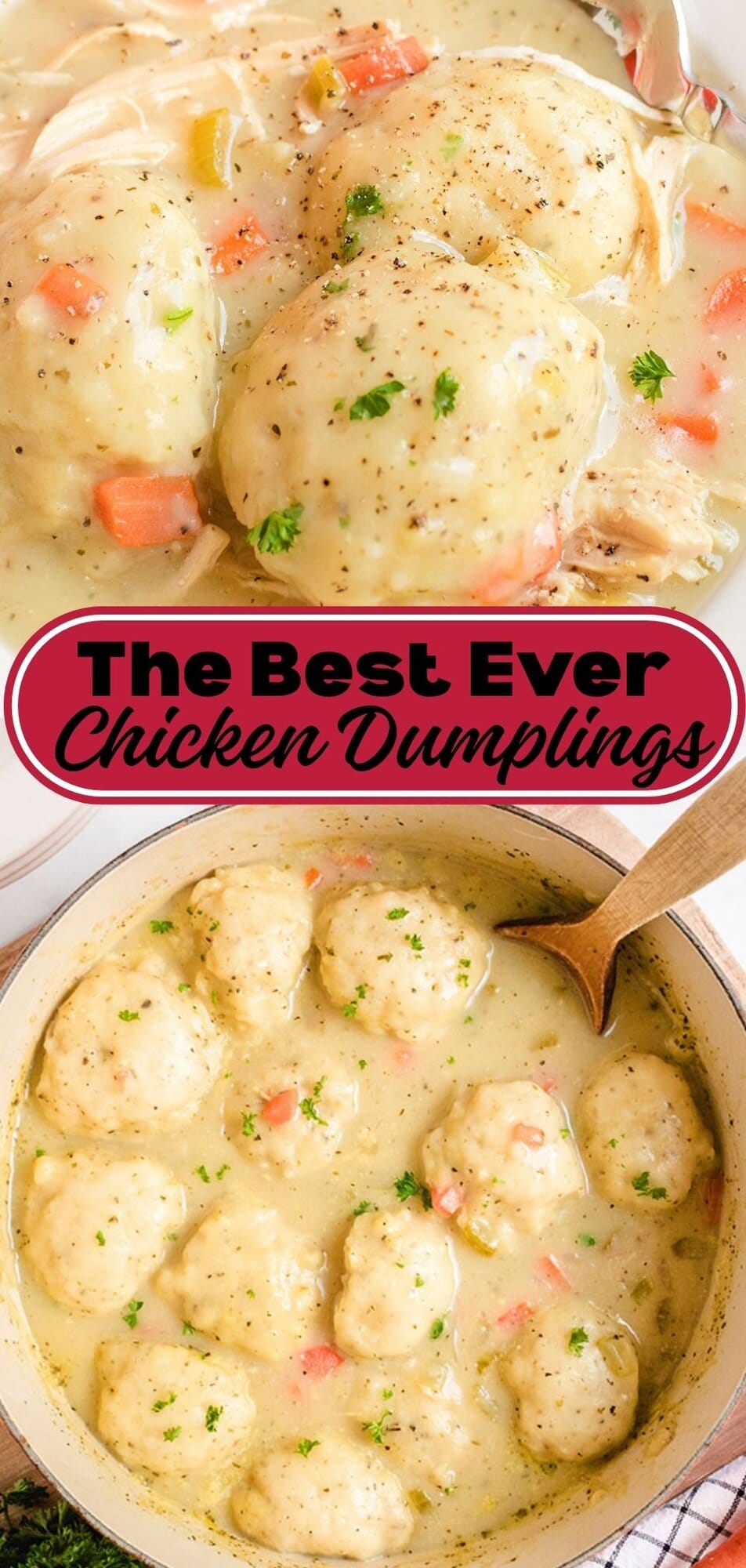 Creamy and hearty Chicken and Dumplings served in a bowl