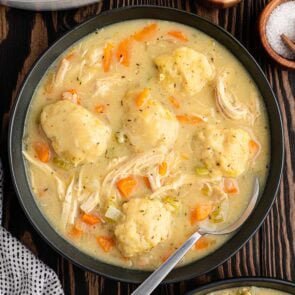 chicken and dumpling in a bowl.