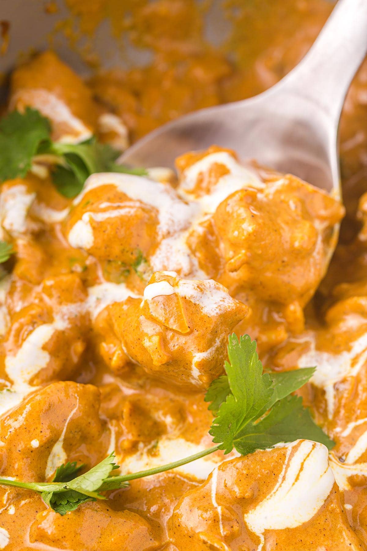 a spoonful of indian butter chicken.