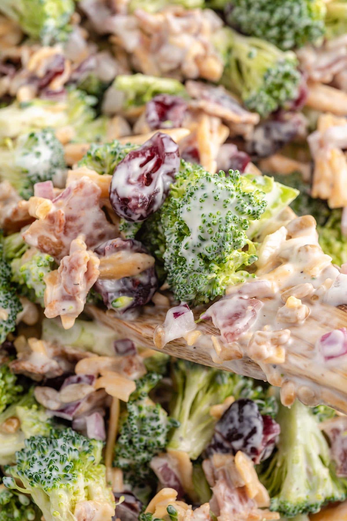 broccoli salad with bacons and sunflower seeds.