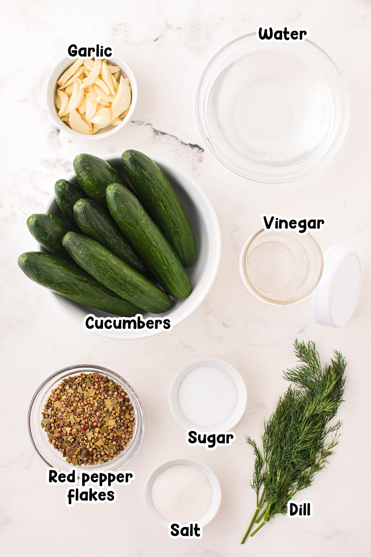 Refrigerator Dill Pickles ingredients.