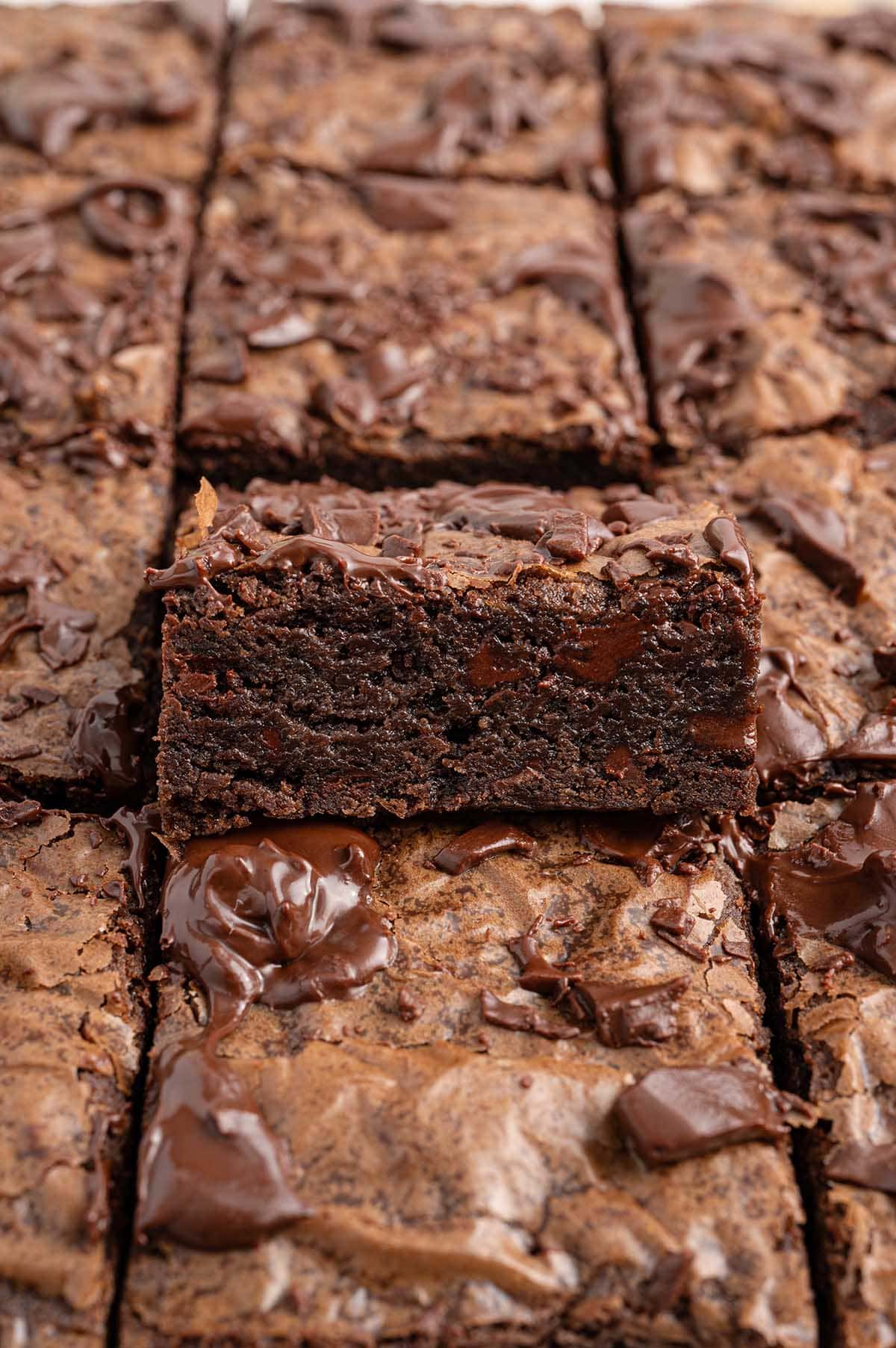 square bars of brownies.