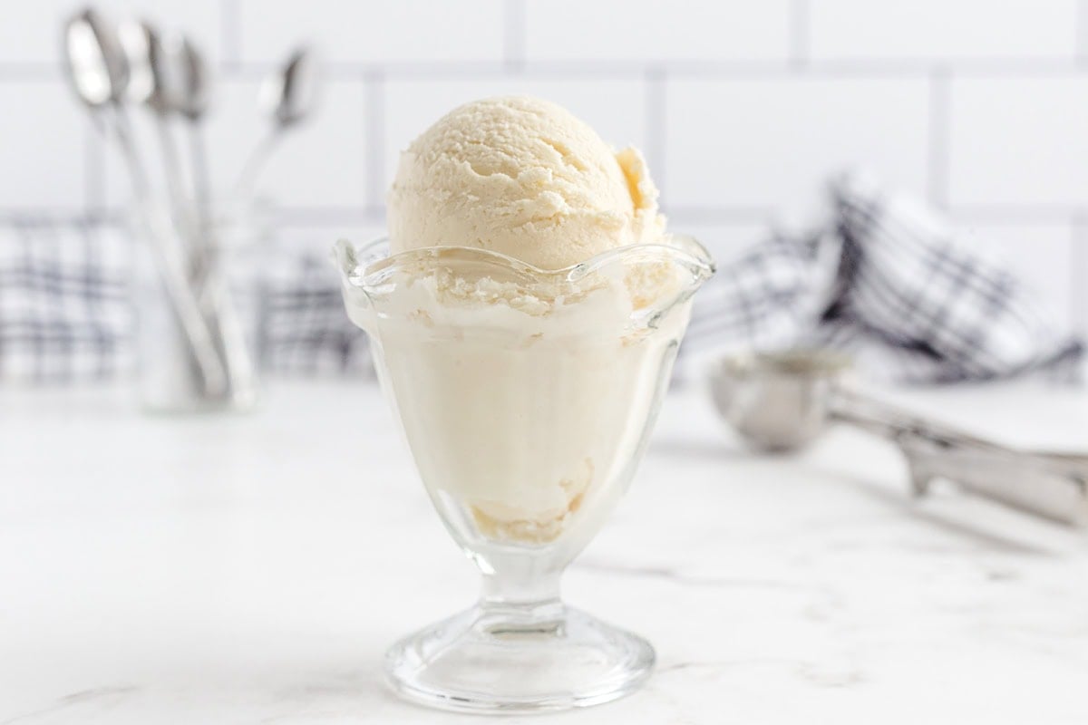 vanilla ice cream served using a dessert bowl. 