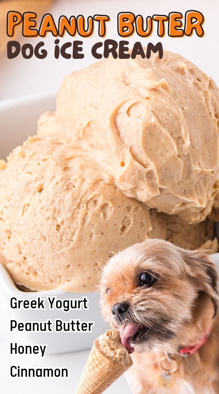 2 scoops of peanut butter dog ice cream served in a square white bowl