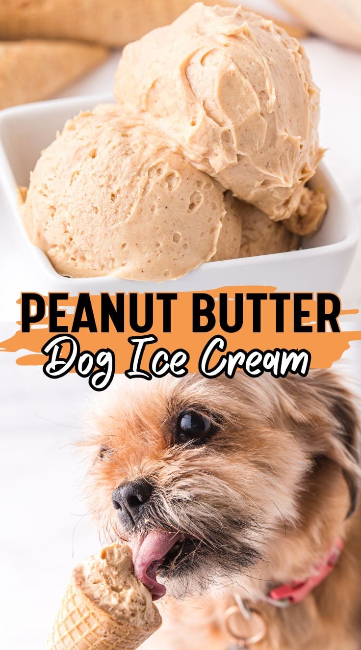 2 scoops of peanut butter dog ice cream served in a square white bowl. A puppy licking Peanut Butter Dog Ice Cream cone.