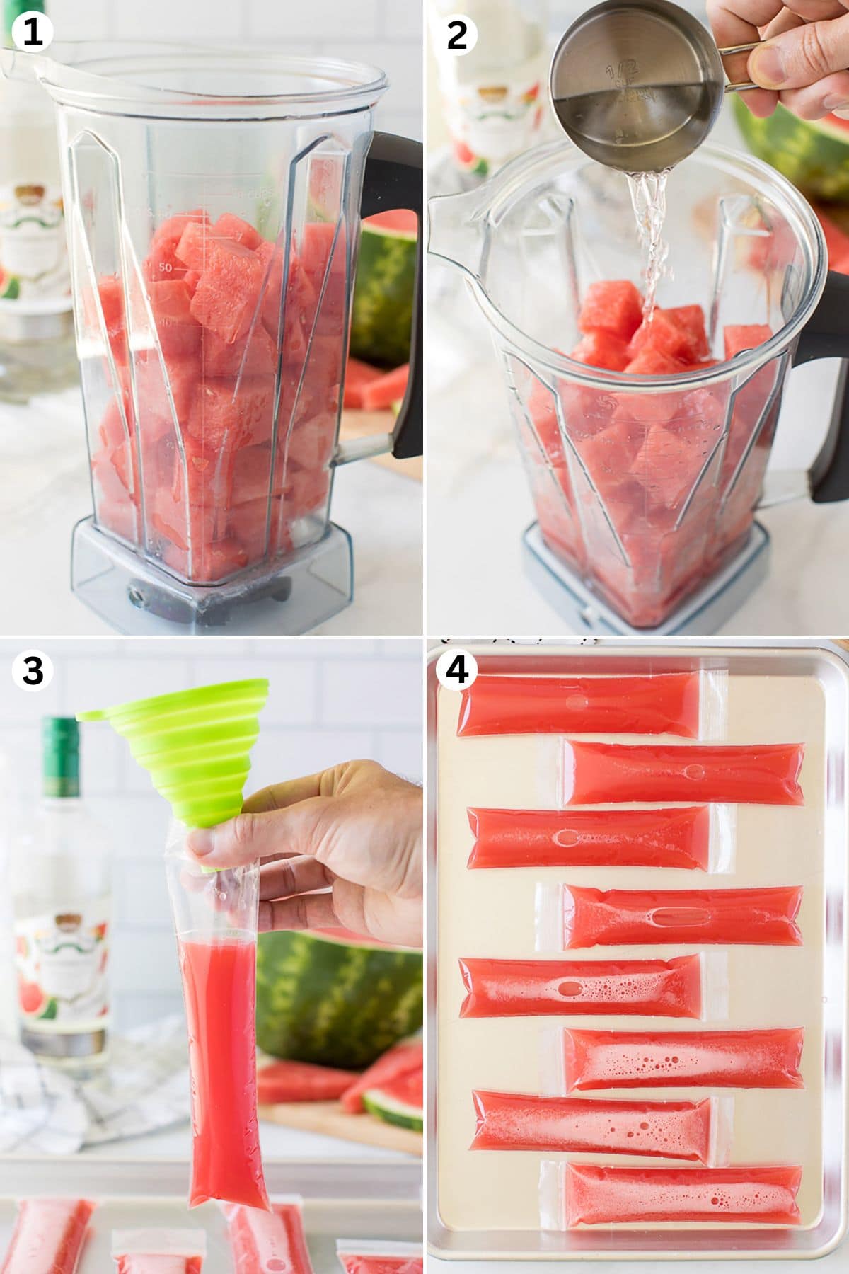 mix ingredients in blender. pour into freezer bags and place in freezer.