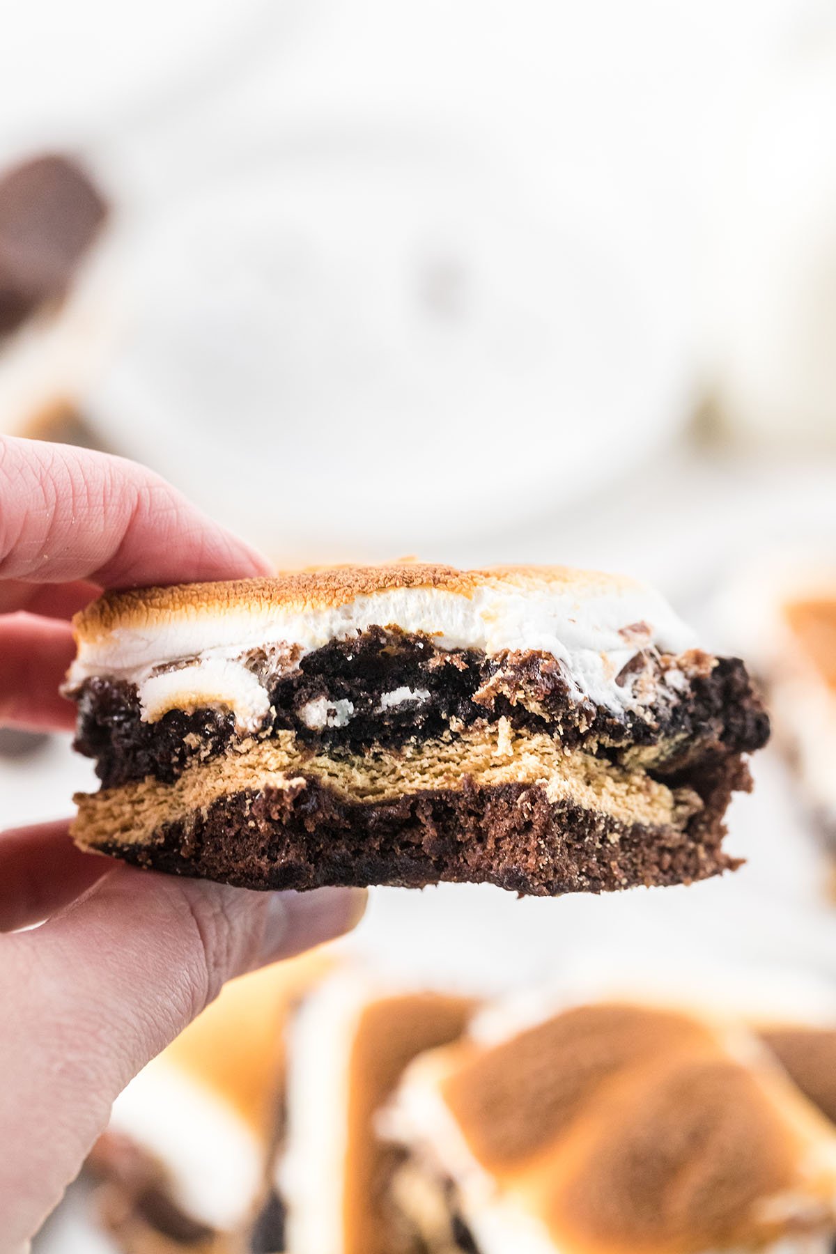 hand holding smore brownie.