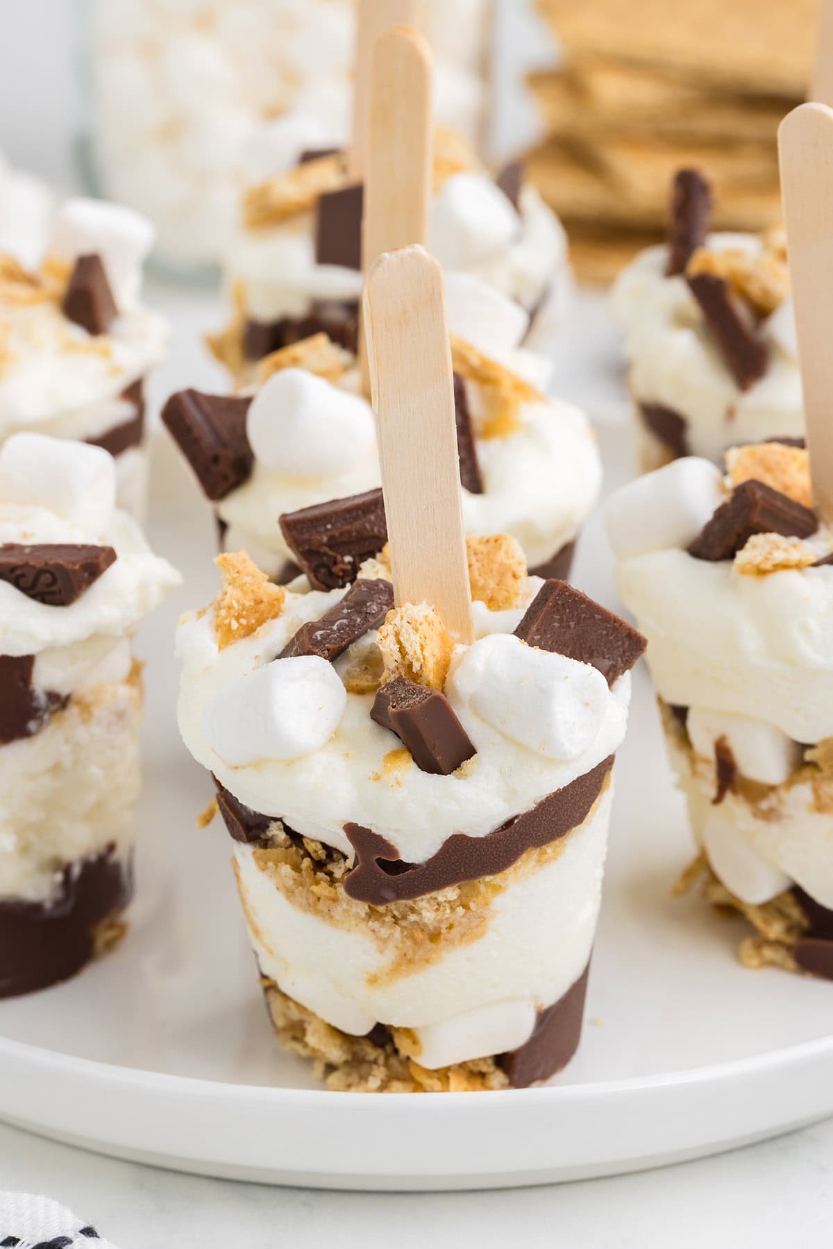 a couple of Layered S'mores Pops on a stick.