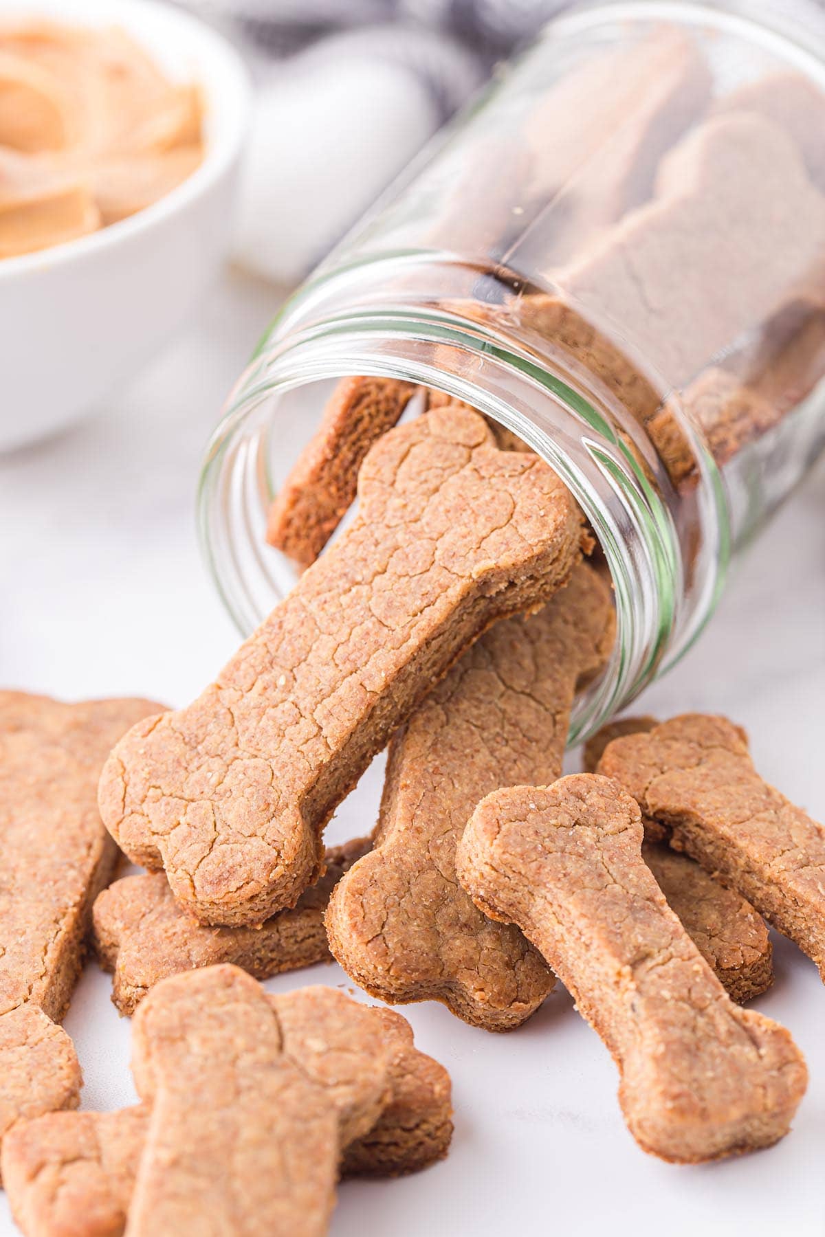 a jar of Peanut Butter Dog Treats shaped like bones.