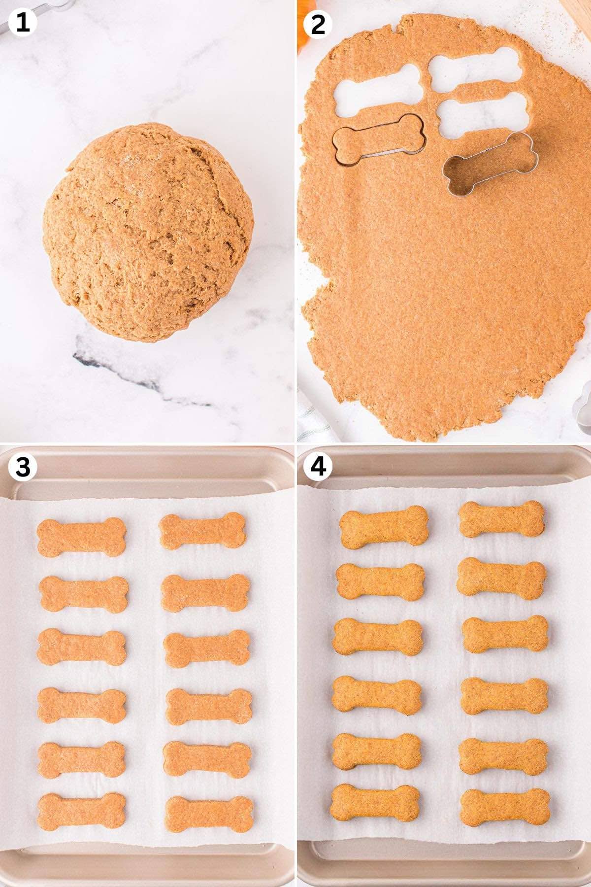 make the cookie dough, roll it out and press the cookie cutter into the dough. place in baking sheet and bake. 