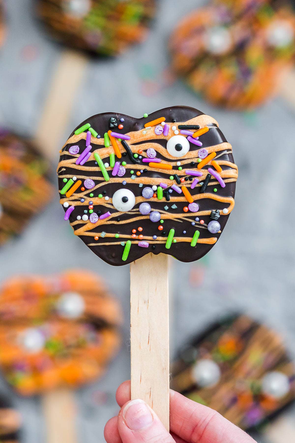 hand holding a piece of Chocolate Covered Apple Pops.