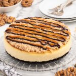 Samoa Cheesecake on a glass plate drizzled with chocolate and caramel.