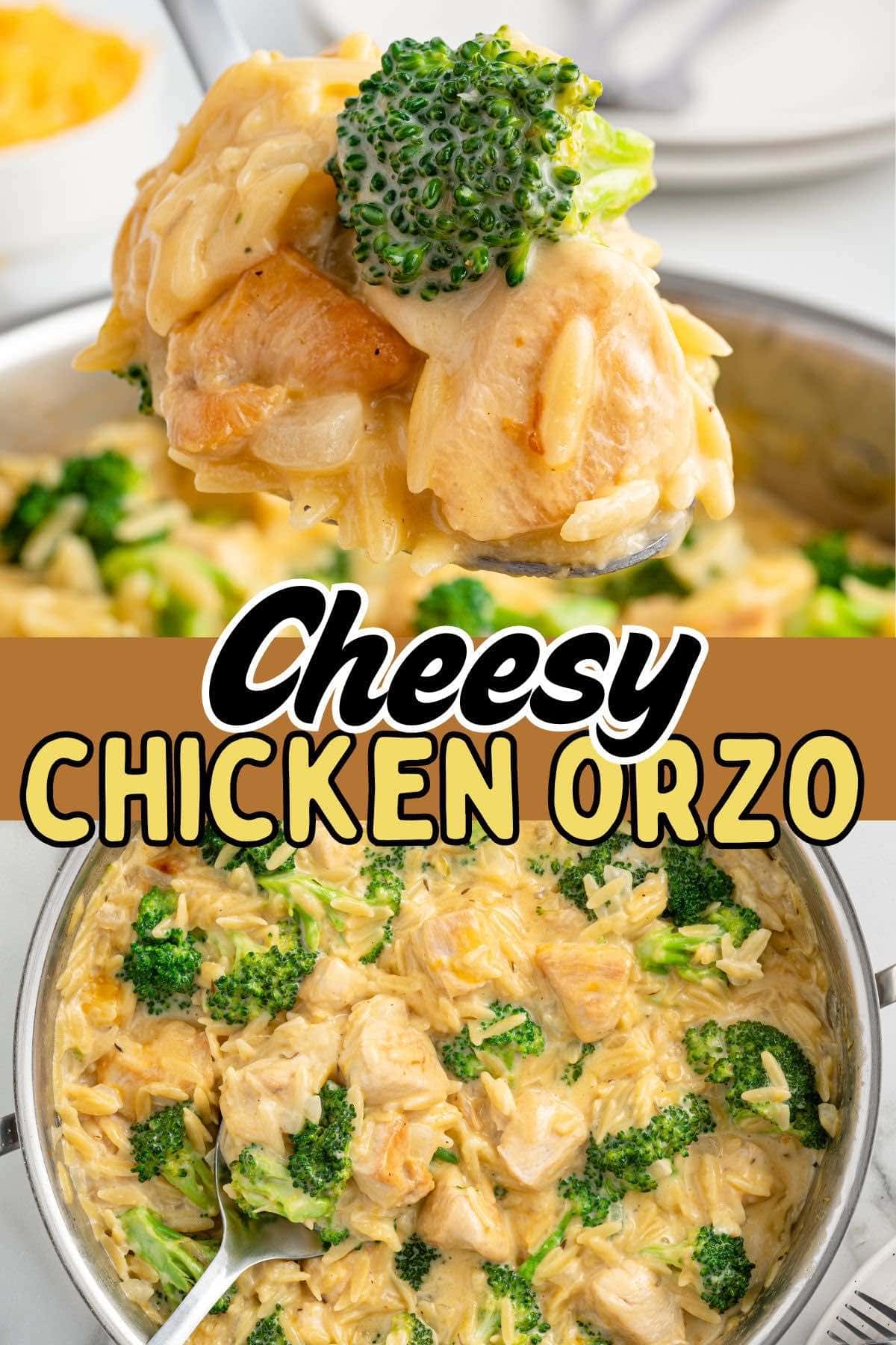 cheesy chicken orzo pin.