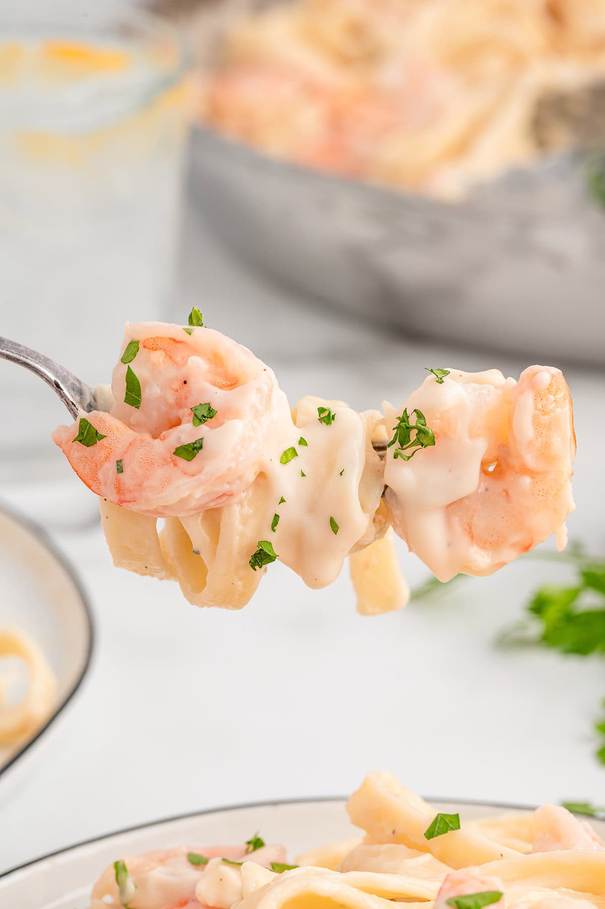 Shrimp Pasta Alfredo twirled on a fork.