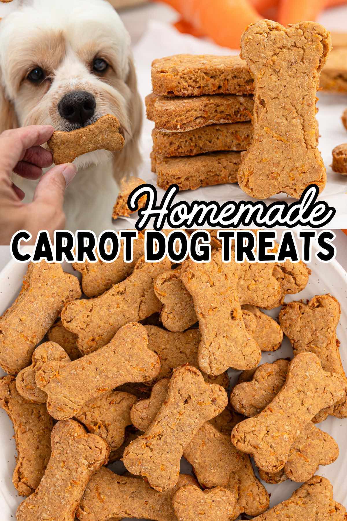 carrot dog treats pin.