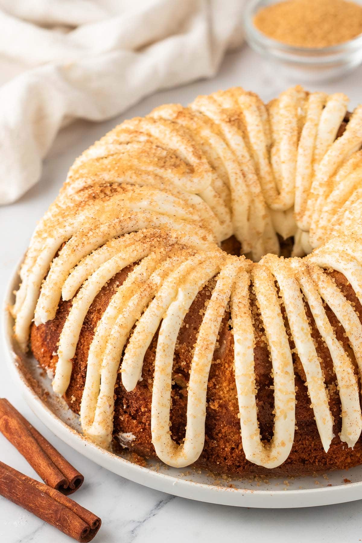 snickerdoodle bundt cake with a brown sugar sprinkled on top.