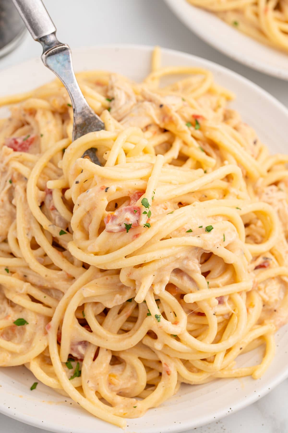 Plate of creamy chicken spaghetti with a fork.