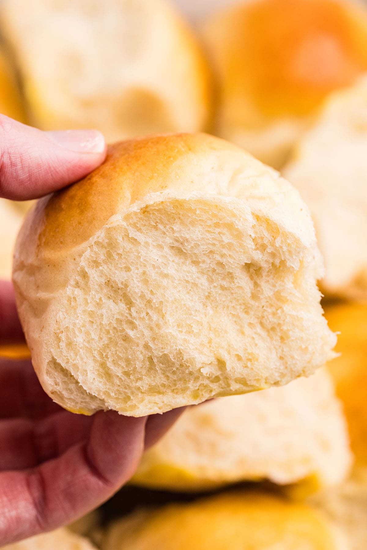 hand holding sourdough discard rolls. 