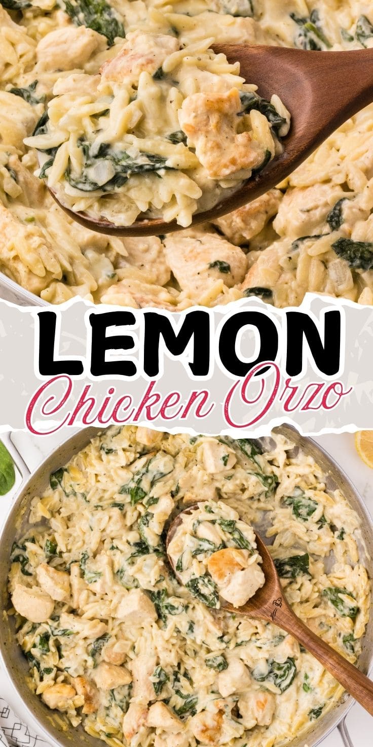 lemon chicken orzo pin.