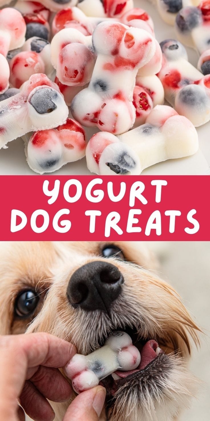 yogurt dog treats pin.