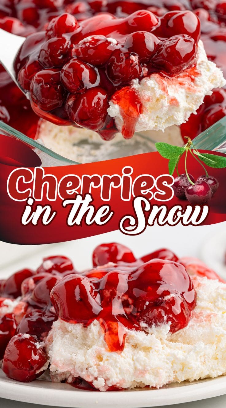 Pretty looking Cherries in the Snow served on a white plate