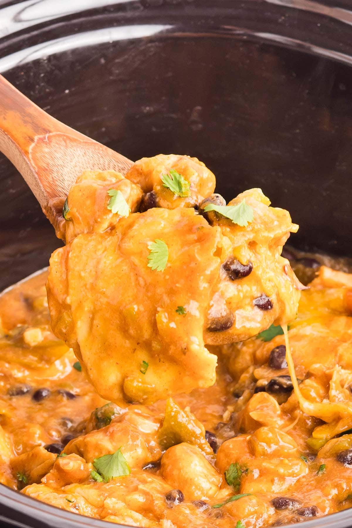 Close-up of a wooden spoon lifting a cheesy scoop of crockpot chicken enchilada casserole with black beans and cilantro from a slow cooker.