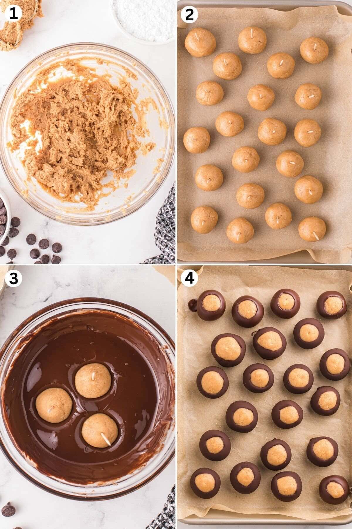 Collage of steps on making buckeyes: mixing the fillings, shape into balls, dipping into chocolate, serving on  parchment paper.