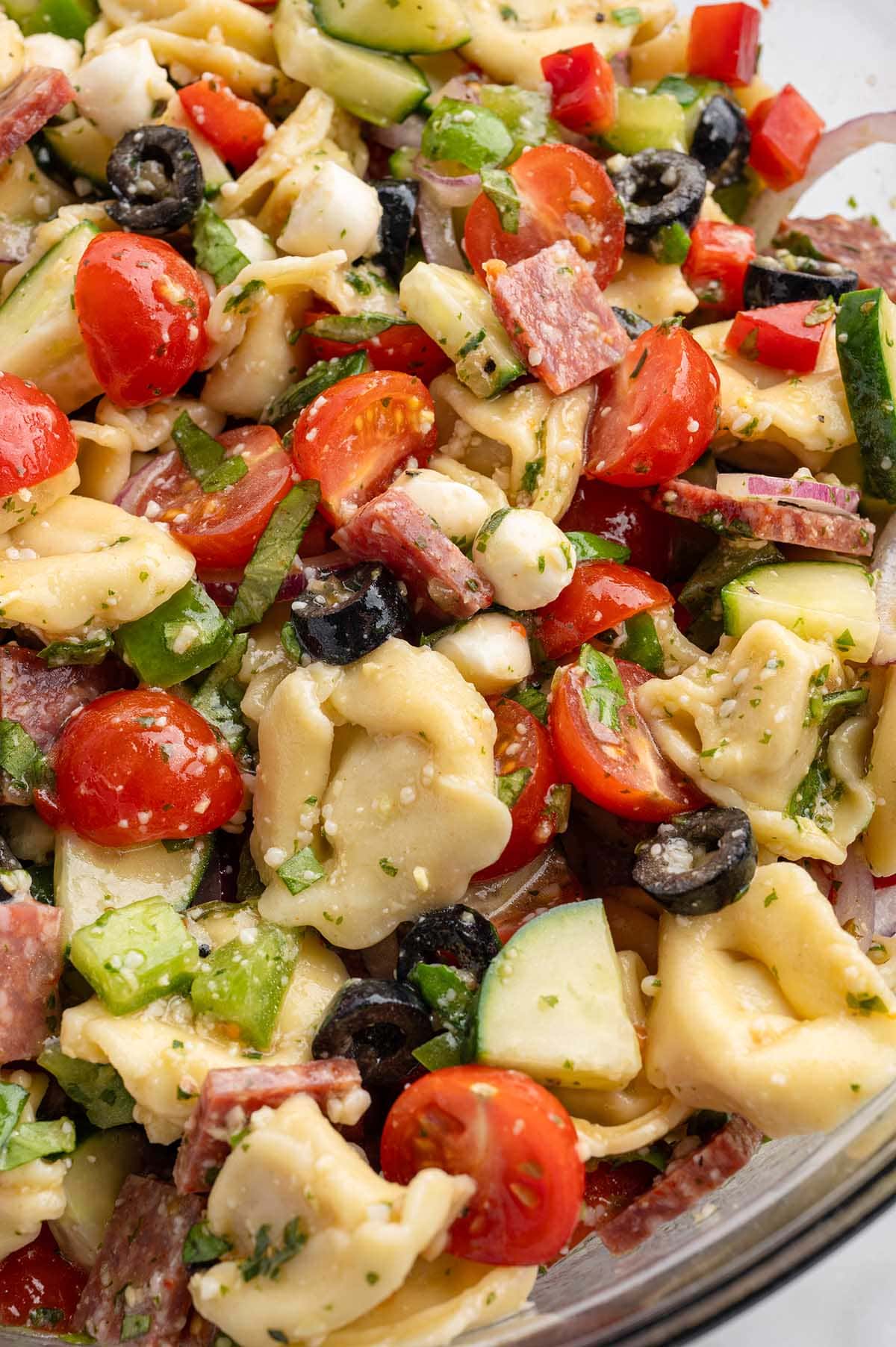 Close-up of a colorful tortellini pasta salad with cherry tomatoes and olives.