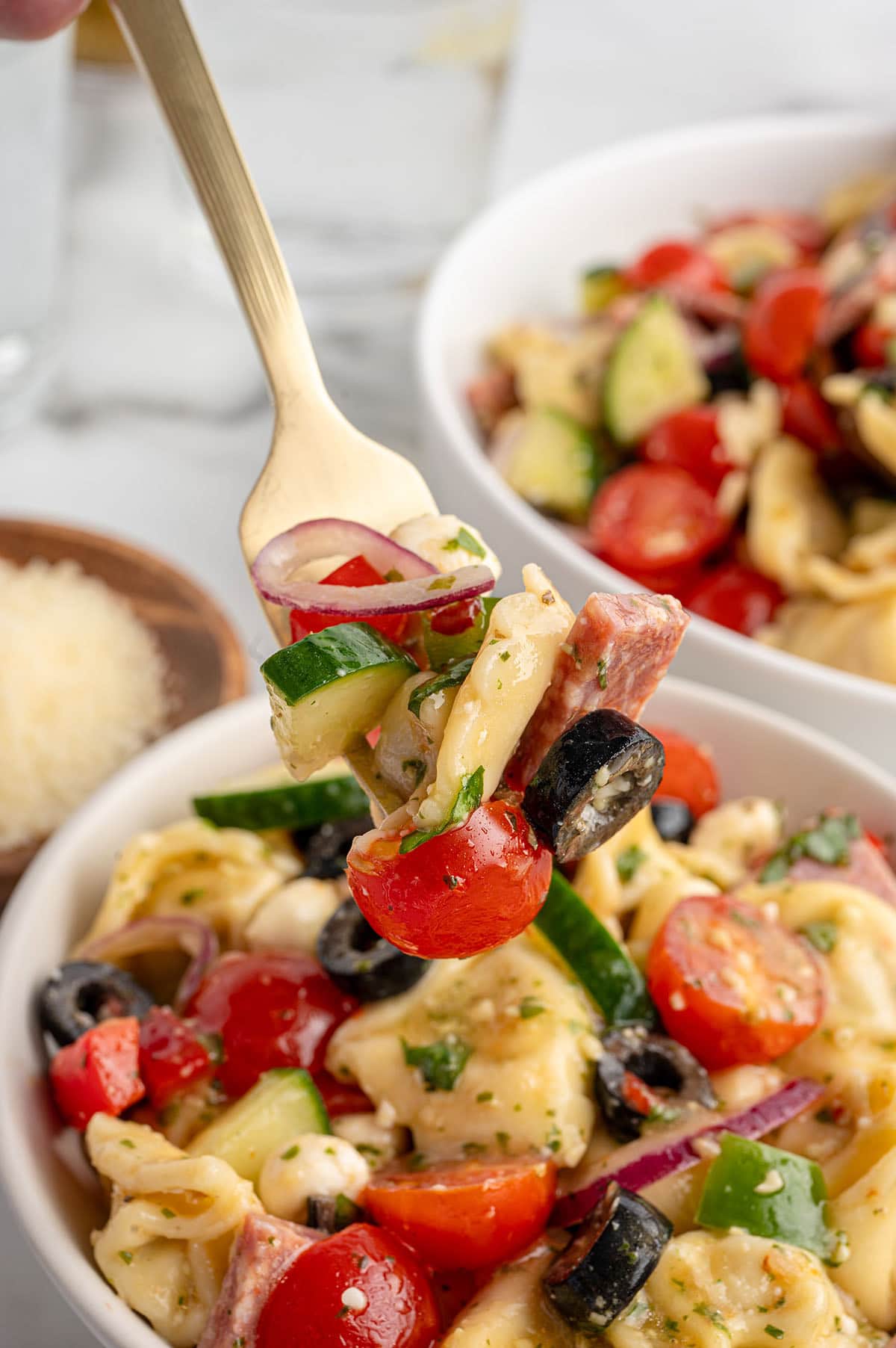 A close-up of a fork holding tortellini pasta salad with cherry tomatoes, cucumbers, olives, and red onions.