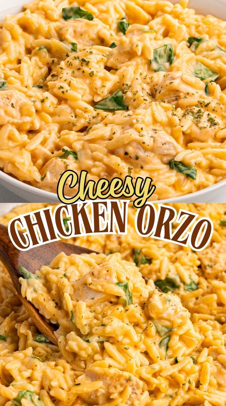 Close up of Cheesy Chicken Orzo with bits of spinach and garnished with parsley