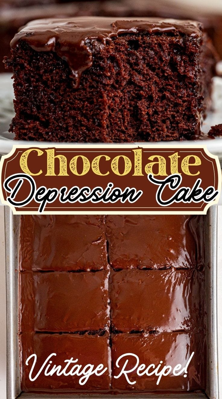 Depression Cake in a baking pan and has been sliced into 6 slices