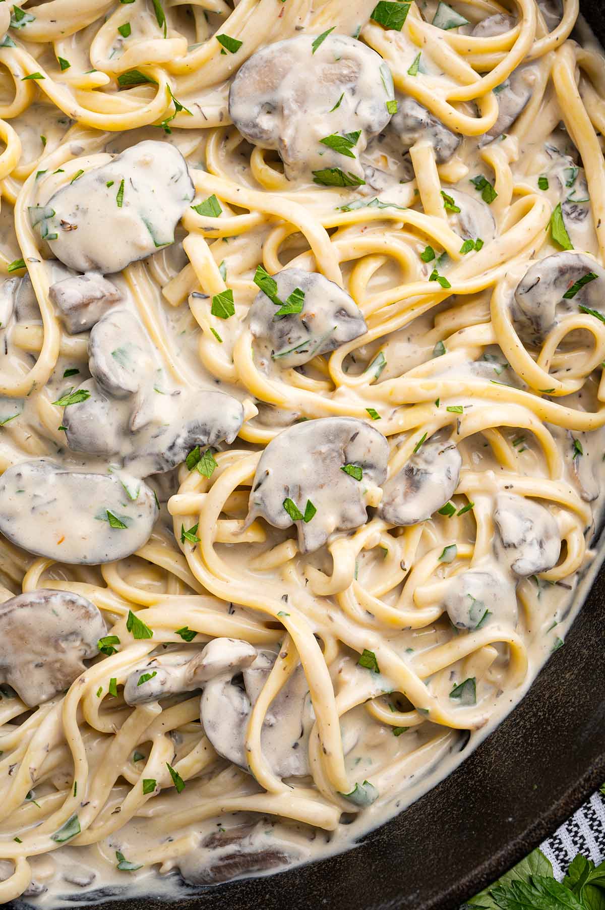 Creamy mushroom pasta cooked with fresh herbs in a skillet.