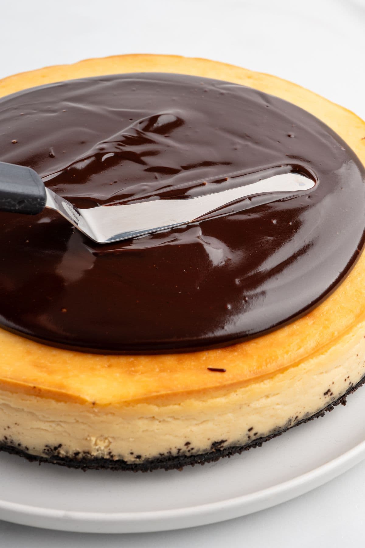 spread chocolate ganache on top of the cheesecake.