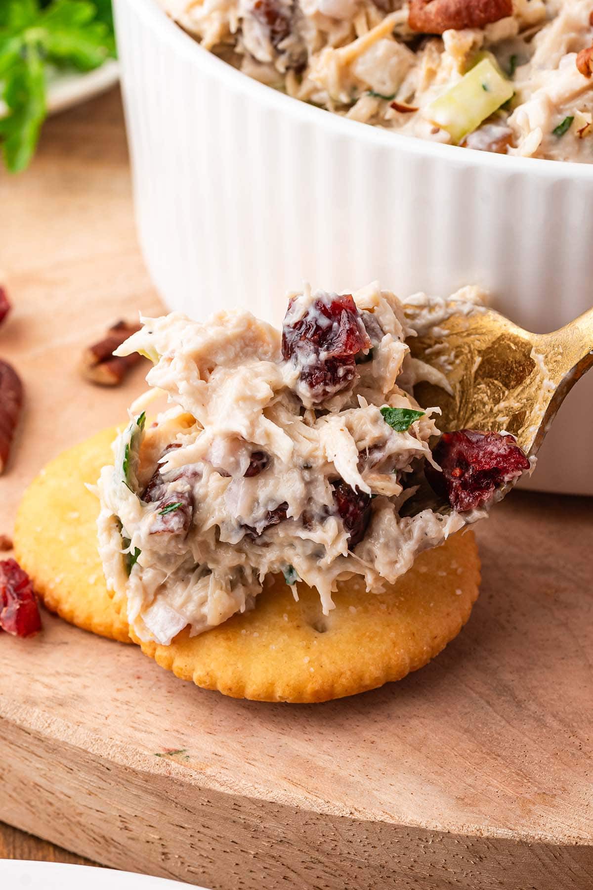 Cranberry chicken salad in a white bowl, with a golden spoon scooping some onto a cracker.