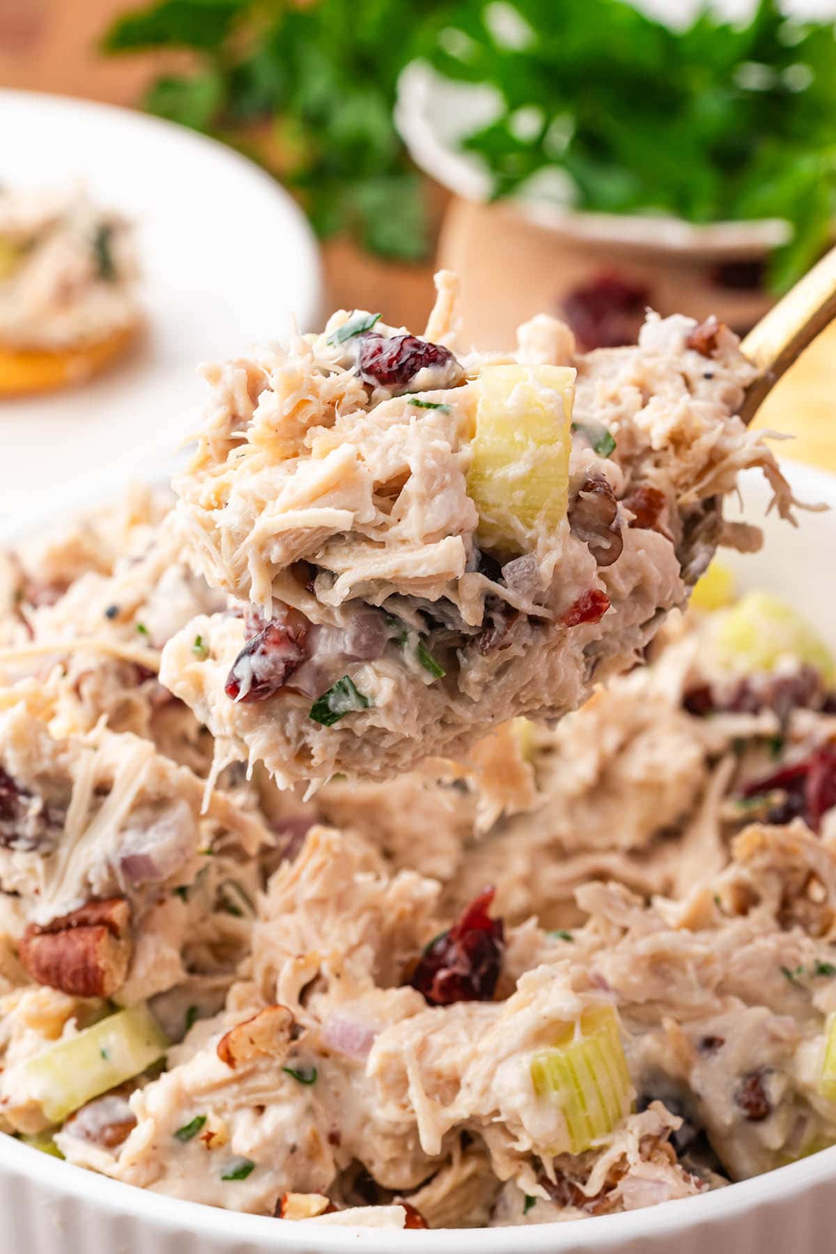 Close-up shows chicken salad mixed with cranberries and celery in soft buns.